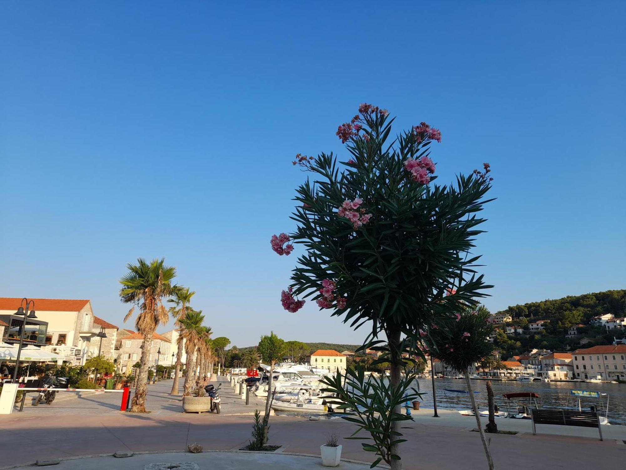 Hvar Architect'S House Pitve Екстериор снимка
