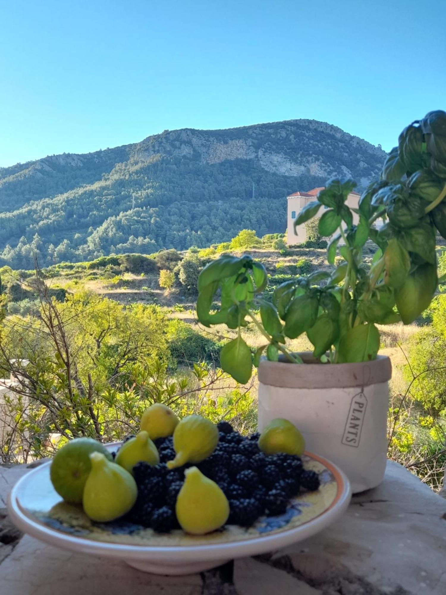 Hvar Architect'S House Pitve Екстериор снимка